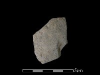 藏品(陶片)的圖片