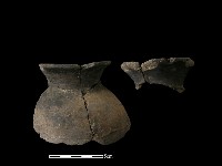 藏品(陶片)的圖片