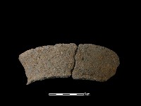 藏品(陶片)的圖片