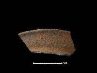 藏品(陶片)的圖片