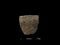 藏品(陶片)的圖片