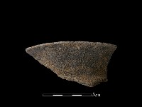 藏品(陶片)的圖片