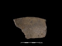 藏品(陶片)的圖片