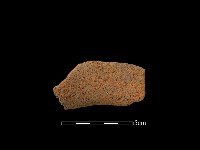 藏品(陶片)的圖片