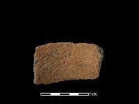 藏品(陶片)的圖片