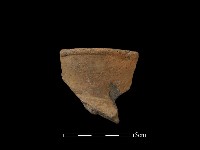 藏品(陶片)的圖片