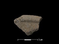 藏品(陶片)的圖片