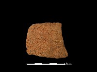 藏品(陶片)的圖片