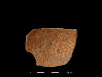 藏品(陶片)的圖片