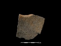 藏品(陶片)的圖片