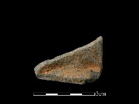 藏品(陶片)的圖片