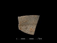 藏品(陶片)的圖片