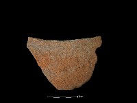 藏品(陶片)的圖片