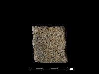 藏品(陶片)的圖片