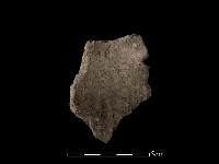 藏品(陶片)的圖片