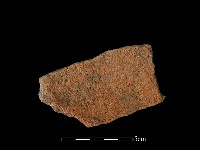 藏品(陶片)的圖片