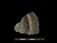 藏品(陶片)的圖片