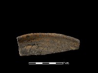 藏品(陶片)的圖片