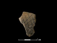 藏品(陶片)的圖片