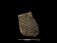 藏品(陶片)的圖片