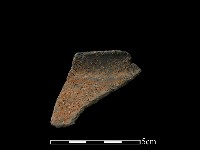 藏品(陶片)的圖片