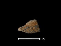 藏品(陶片)的圖片