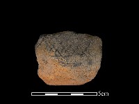 藏品(陶片)的圖片