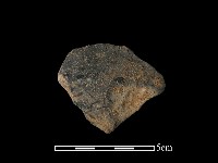 藏品(陶片)的圖片