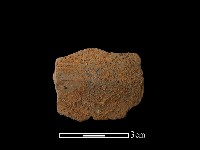 藏品(陶片)的圖片