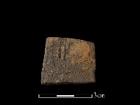 藏品(陶片)的圖片