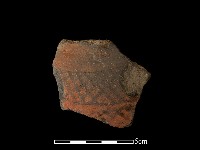 藏品(陶片)的圖片