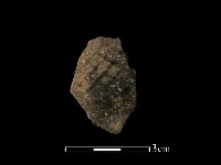藏品(陶片)的圖片