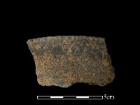 藏品(陶片)的圖片