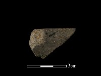 藏品(陶片)的圖片