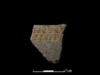 藏品(陶片)的圖片