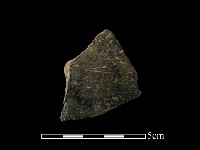 藏品(陶片)的圖片