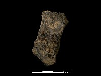 藏品(陶片)的圖片