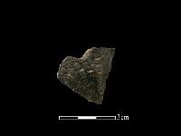 藏品(陶片)的圖片