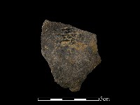 藏品(陶片)的圖片