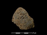 藏品(陶片)的圖片