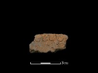 藏品(陶片)的圖片