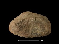 藏品(石核)的圖片