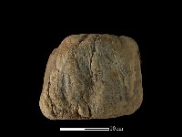 藏品(砥石)的圖片