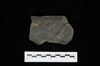 藏品(陶盆)的圖片