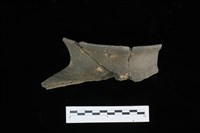 藏品(陶罐)的圖片