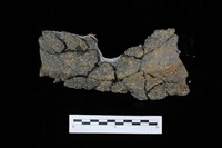 藏品(陶罐)的圖片