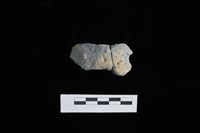 藏品(陶片)的圖片