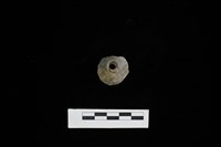 藏品(紡輪)的圖片