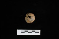 藏品(紡輪)的圖片