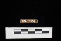 藏品(陶環)的圖片